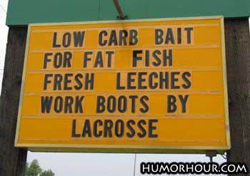 Low carb bait...