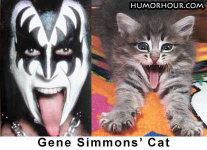 Gene Simmon's Cat