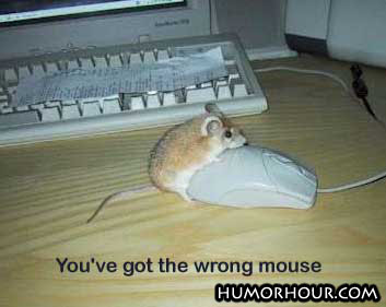 The Wrong Mouse