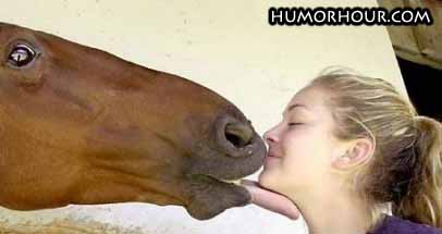 Kissing a horse