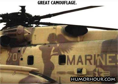 Great camouflage