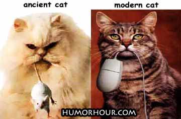 The difference between the ancient and the modern cat